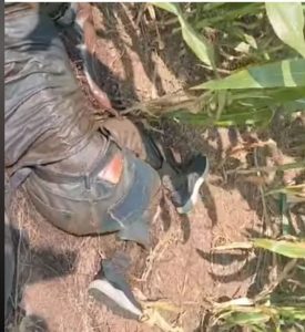 Penemuan Mayat Misterius di Wonosalam Jombang: Polisi Lakukan Indentitas