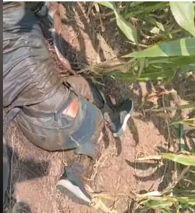 Penemuan Mayat Misterius di Wonosalam Jombang: Polisi Lakukan Indentitas