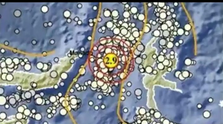 Gempa Bumi Magnitudo 2,9 Guncang Laut Jailolo, Maluku Utara